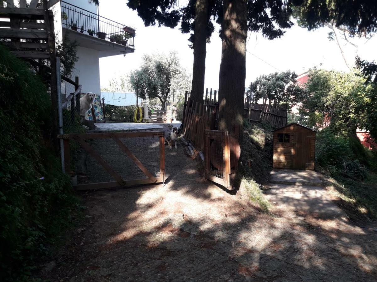 Hotel Il Giardino Del Nespolo à Arcola Extérieur photo